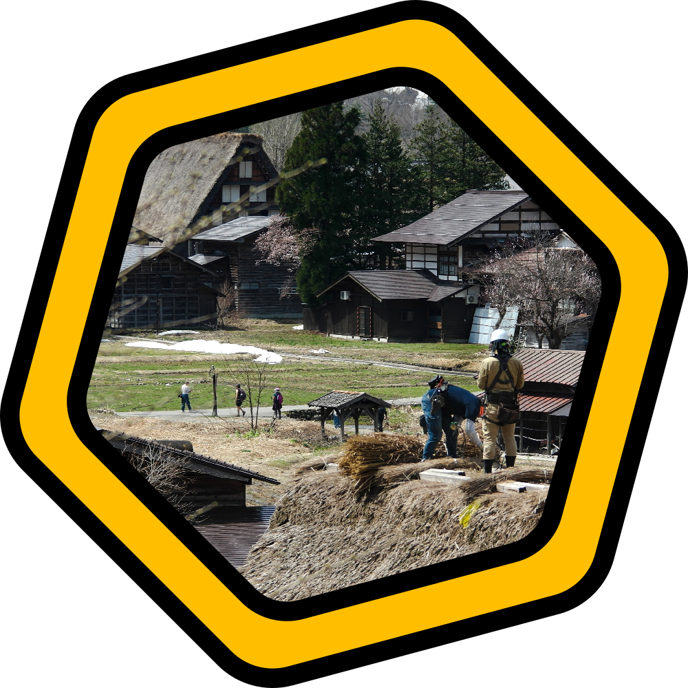 Photography: Japan 2025