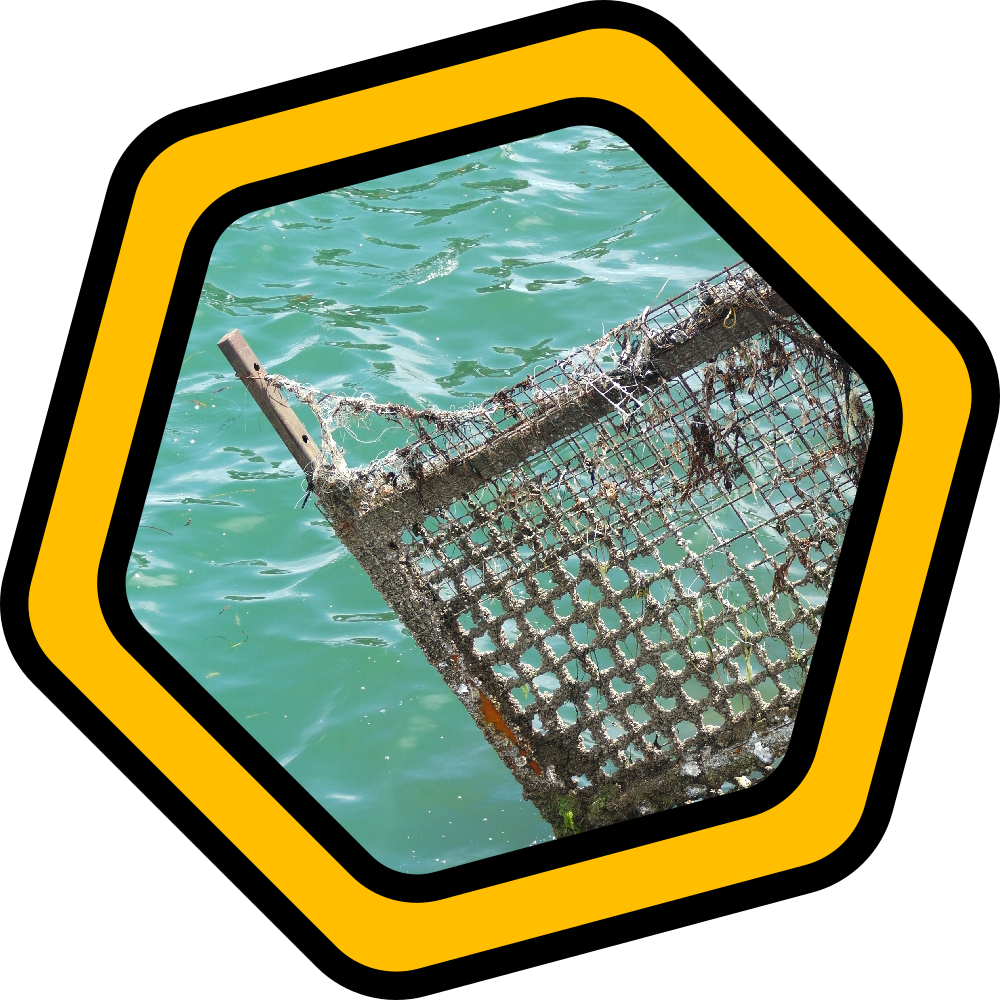 Photography: North Adelaide Day Trip