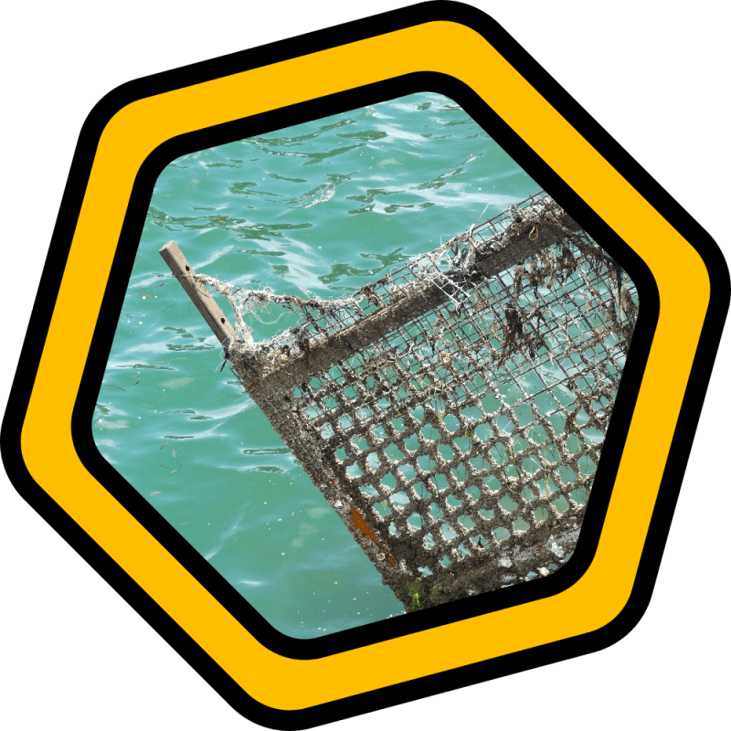 Photography: North Adelaide Day&nbsp;Trip