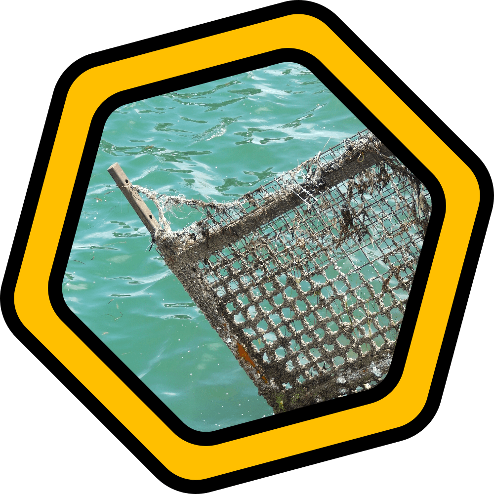 Photography: North Adelaide Day&nbsp;Trip